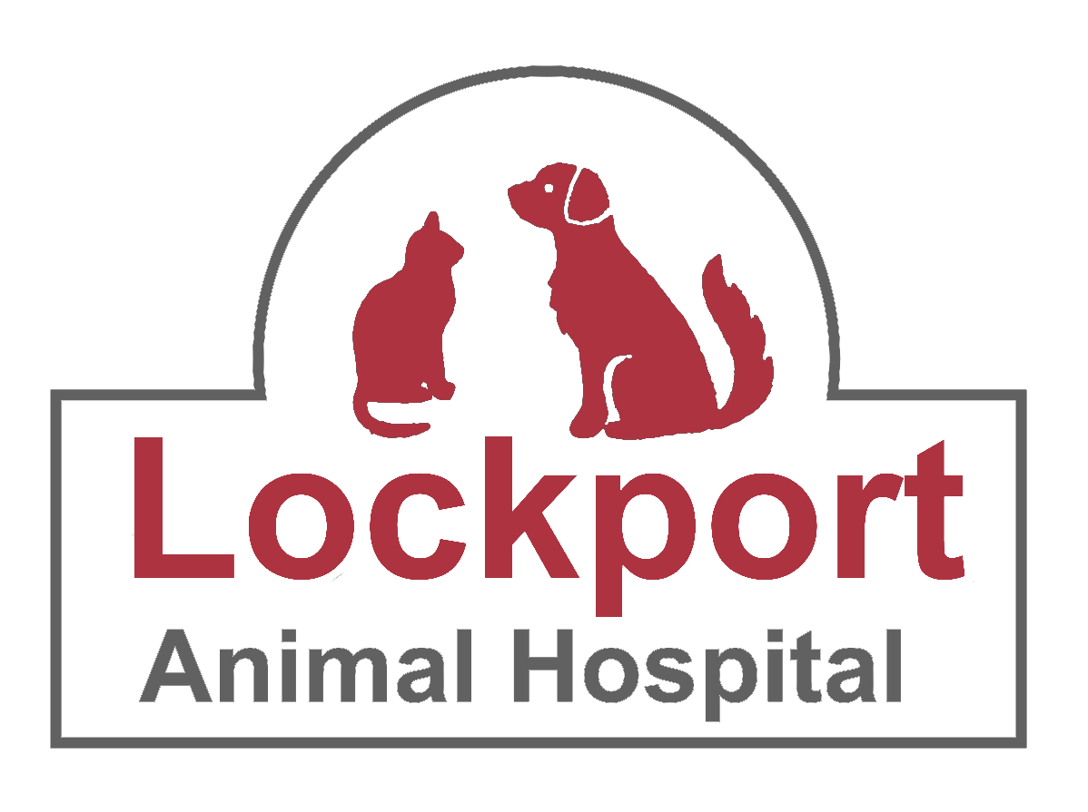 Lockport Animal Hospital