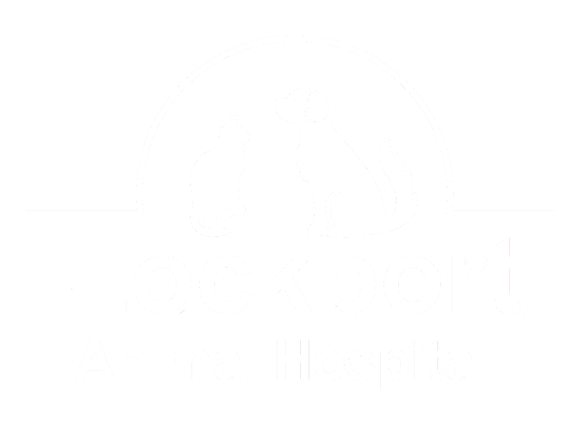 Lockport Animal Hospital